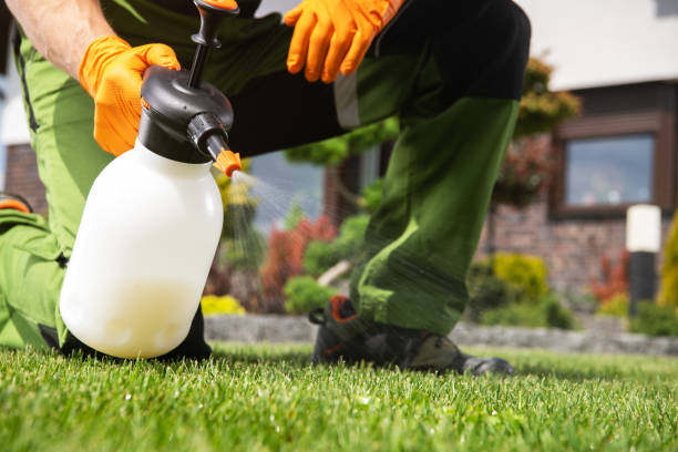 Best Commercial Pest Control Services  in Whitinsville, MA