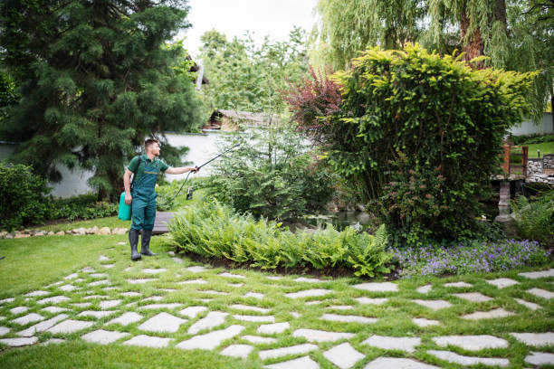 Best Bird Control  in Whitinsville, MA