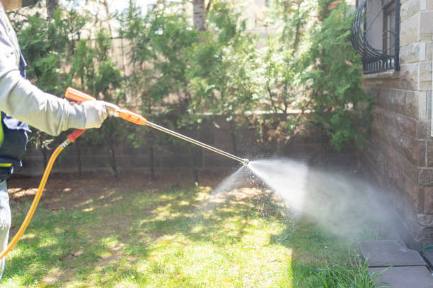 Best Pest Control Near Me  in Whitinsville, MA